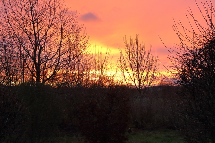 Morgenrot_13.12.2017.JPG