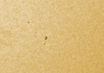 Sonne
