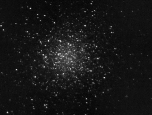 M13.jpg
