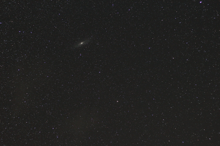 Andromeda_Einzelbild.JPG