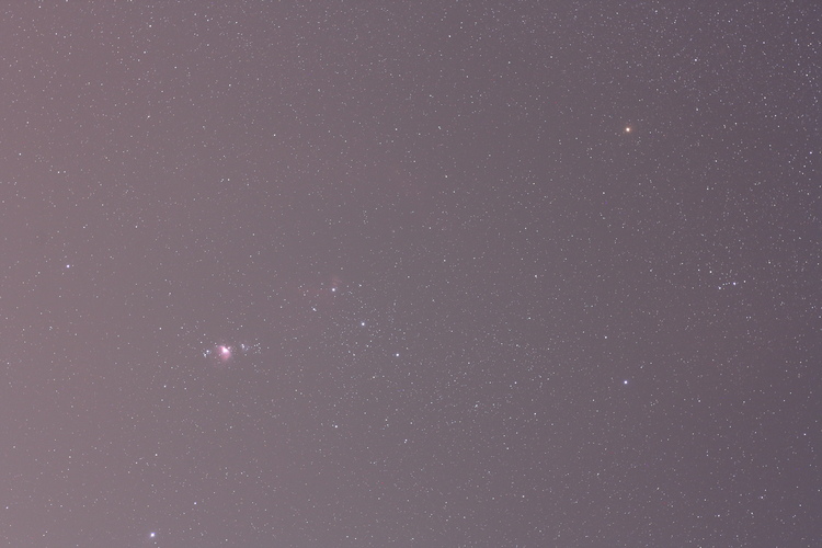 Orion_50mm_Einzelbild.JPG