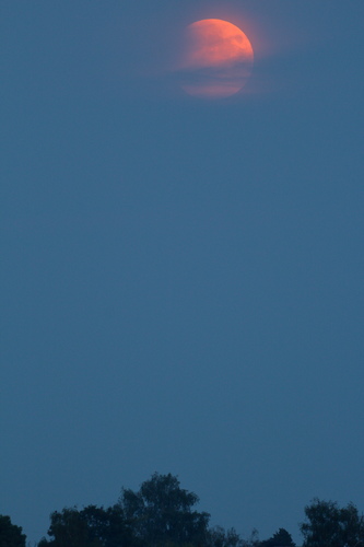 partielle_MoFi_20190716_1.JPG