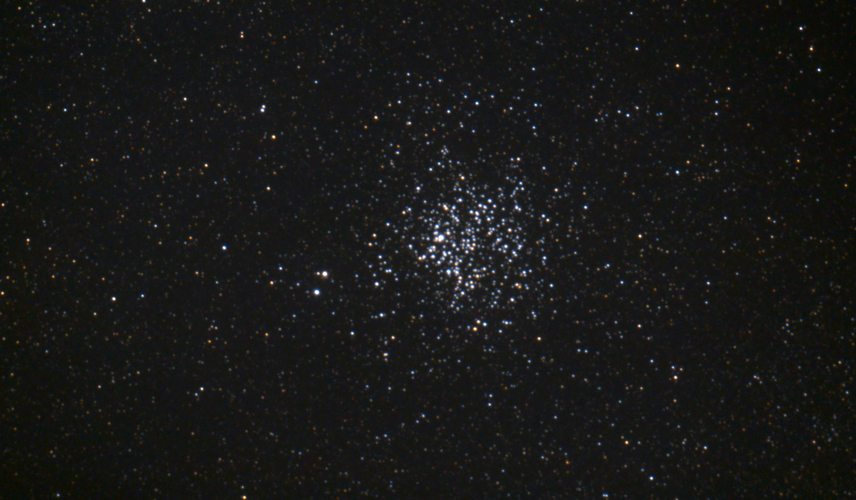 M11_Wildentenhaufen.jpg