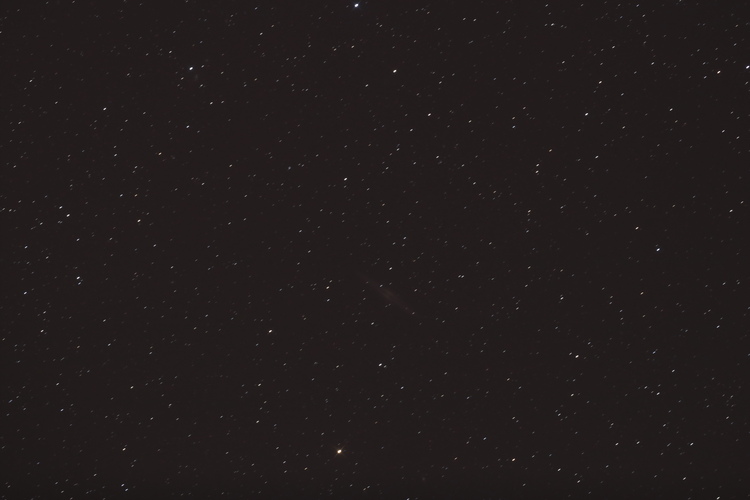 NGC891_Einzelbild.JPG