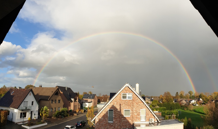 20201103_155312.jpg