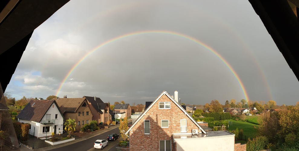 20201103_155158.jpg