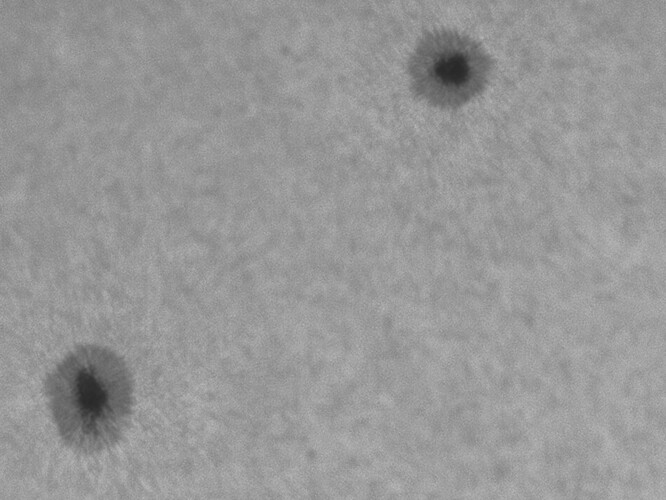 Sonne_20220227_AR2954+AR2955.jpg