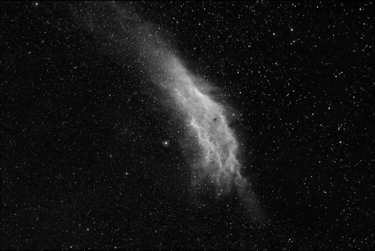 Californianebel_20220304.jpg