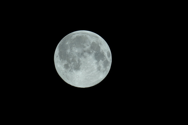 DPP_0509.JPG