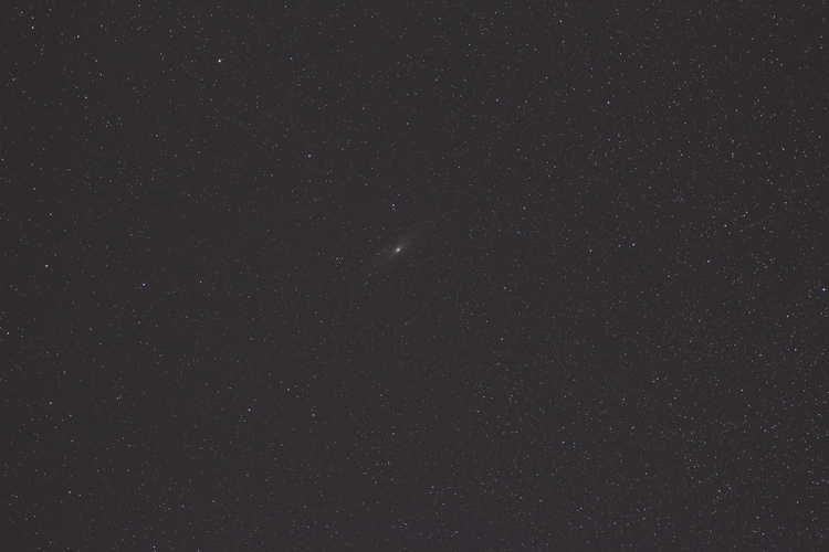 DPP_0845.JPG