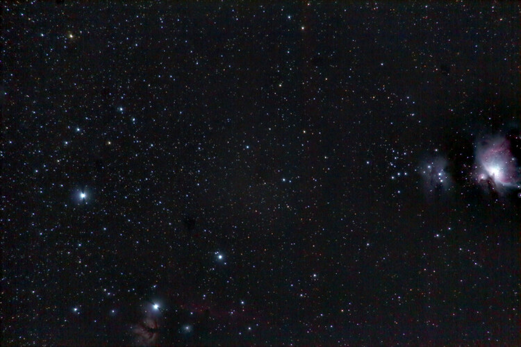 Orion_250mm.jpg