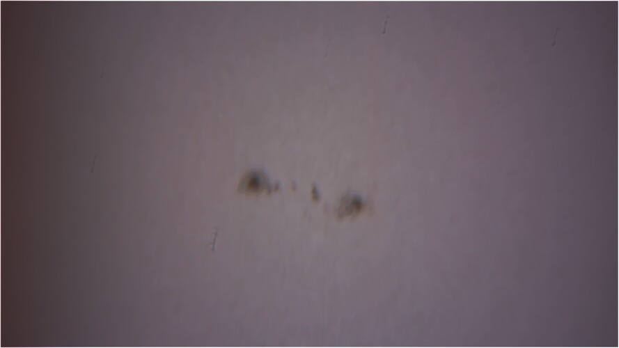 Sonnenflecken_20161204.jpg