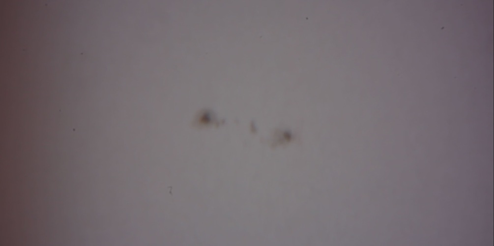 Sonnenflecken_20161204_Einzelbild.jpg