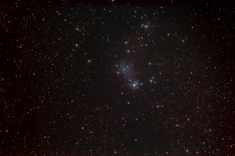 NGC2264.jpg