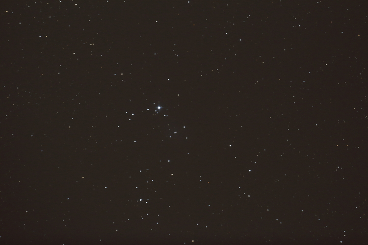NGC2264_Einzelbild.JPG