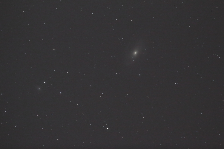 M81_Einzelbild.JPG