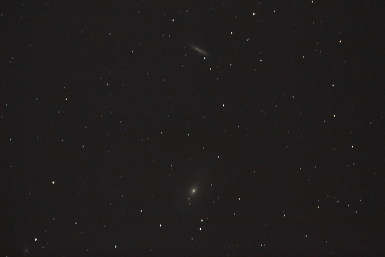 M81_M82_Einzelbild.JPG